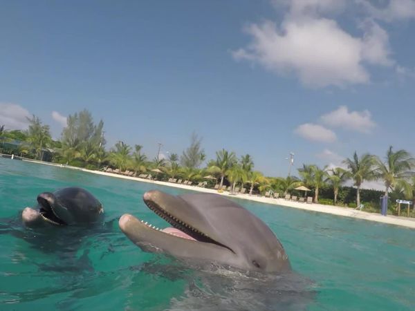 Luxury Travel Show - Grand Cayman & Toledo