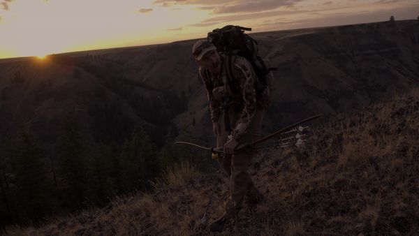 Cal in the Field - Elk on the Prairie