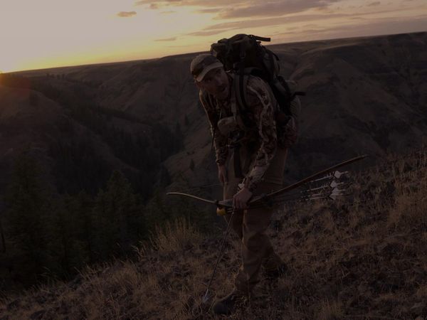 Cal in the Field - Elk on the Prairie