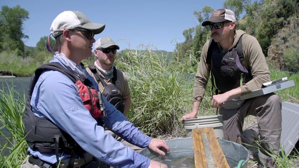 Cal in the Field - Rewards for Rainbows - Fishing the Snake