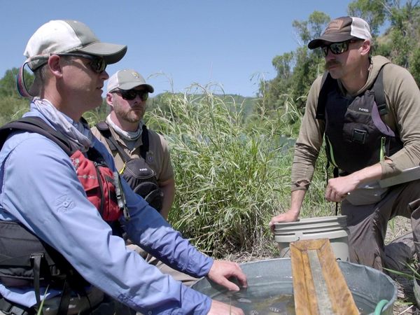 Cal in the Field - Rewards for Rainbows - Fishing the Snake