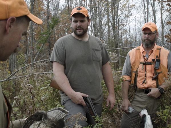 Cal in the Field - Maine - Private Ground & Public Woodcock & Grouse