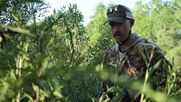 Cal in the Field - Paradise Lost - Louisiana Hog & Tripletail
