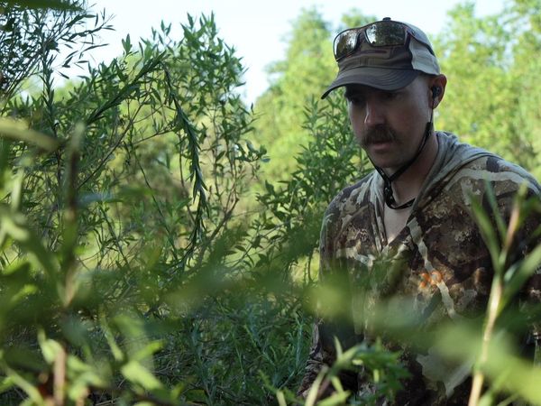 Cal in the Field - Paradise Lost - Louisiana Hog & Tripletail