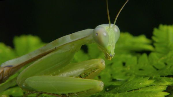 Destination Wild: Indochina's Wild Heart - Episode 2