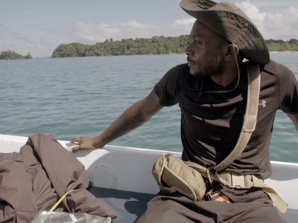 The Island with Bear Grylls UK - Episode 2