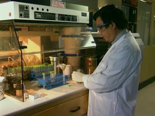 Medical Detectives - Deadly Parasites