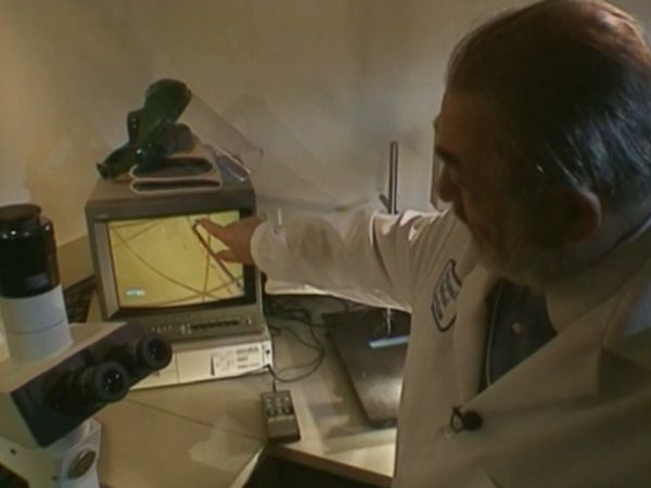 Medical Detectives - Til Death Do Us Part