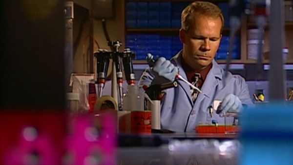 Medical Detectives - A Cinderella Story