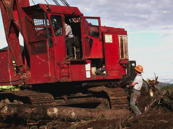 Ax Men - Where's Willy