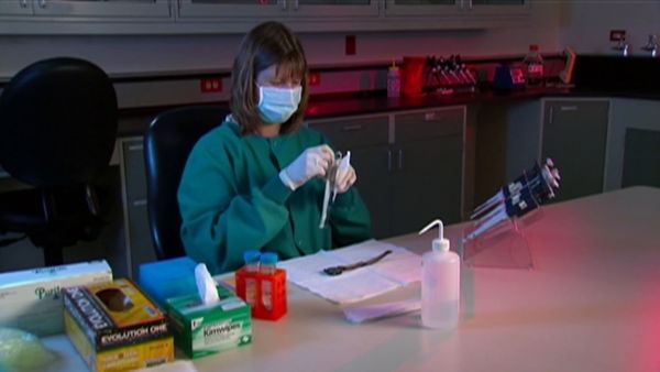 Medical Detectives - Watchful Eye