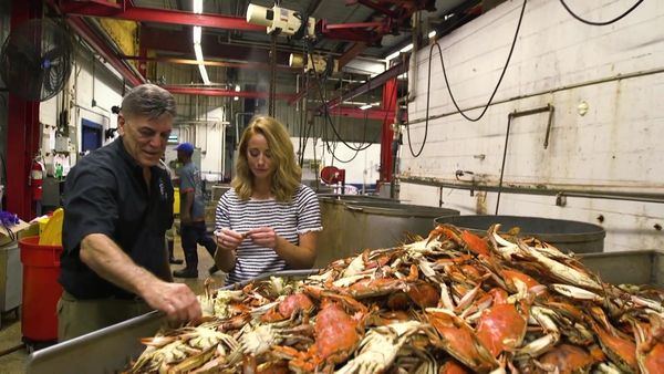The Southern Weekend - Food and Fun