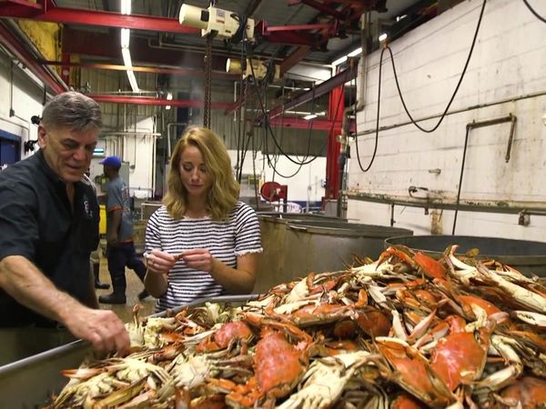 The Southern Weekend - Food and Fun