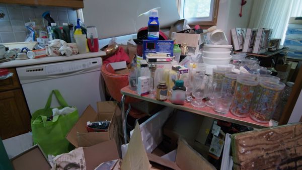 Hoarder House Flippers DA - Episode 201