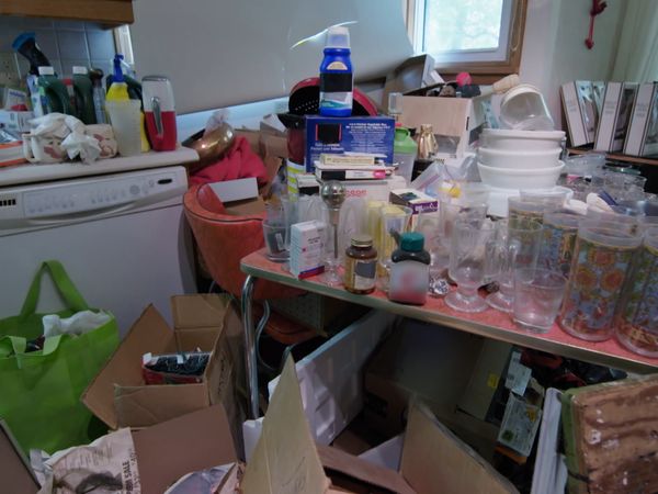Hoarder House Flippers DA - Episode 201