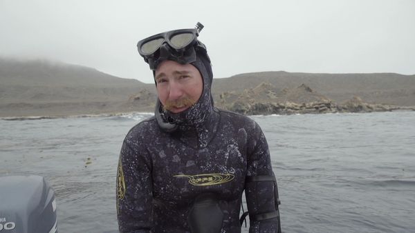 Cal in the Field - Spearfishing for White Sea Bass