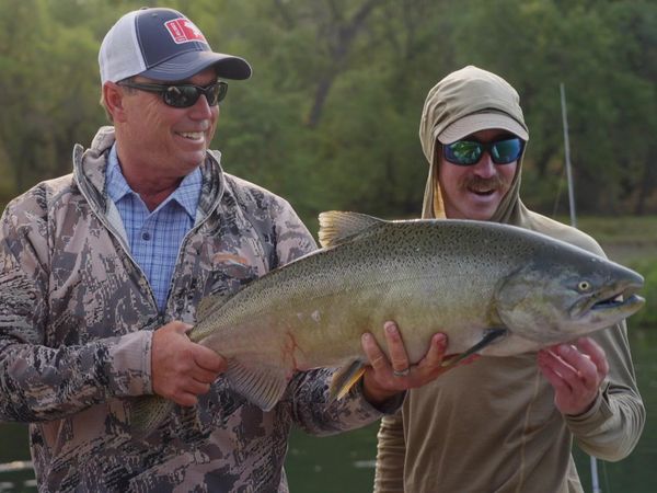 Cal in the Field - Salmon vs Striper on California's Coastal Waterways