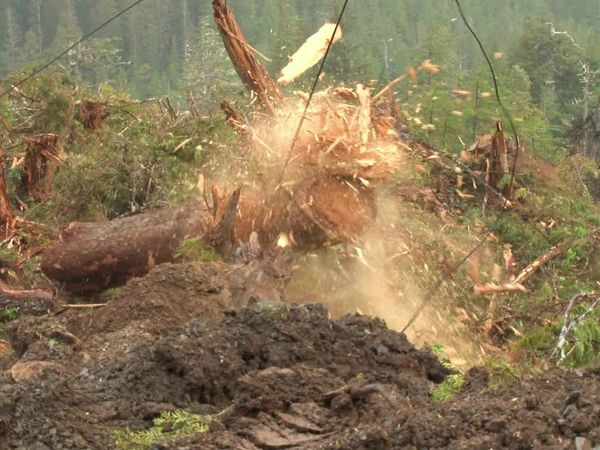 Ax Men - Judgement Day
