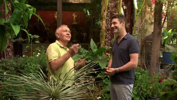 Habiter le monde - Espagne: les jardins secrets de Grenade