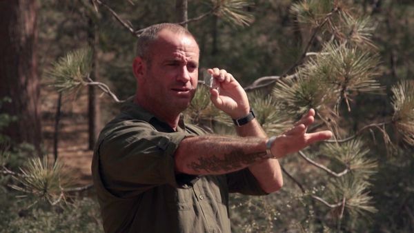 Fight to Survive - Season Recap