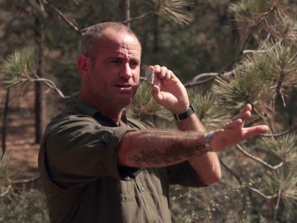 Fight to Survive - Season Recap