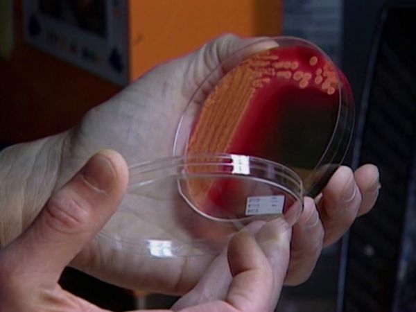 Medical Detectives - Bio-Attack
