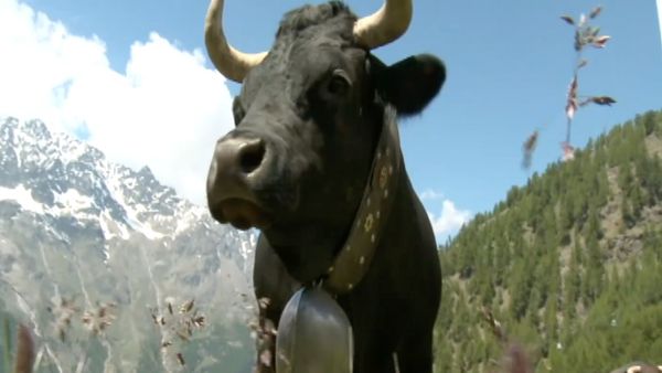Españoles en el Mundo - Suiza