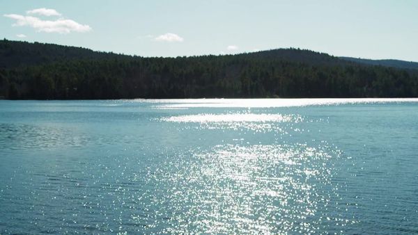 Lakefront Bargain Hunt - Searching for Brant Lake Bliss