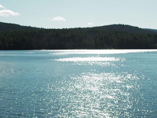 Lakefront Bargain Hunt - Searching for Brant Lake Bliss