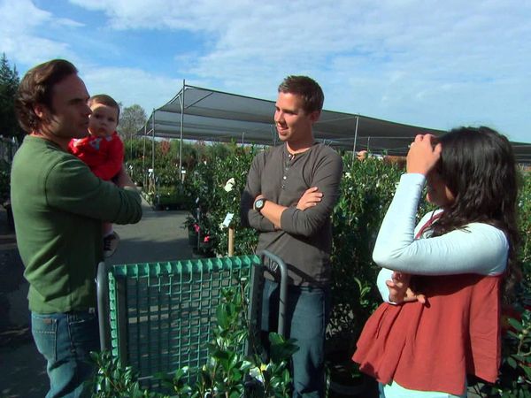 Yard Crashers - California Outdoor Room