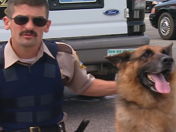 RENO 911! - Wiegel Suicide Watch