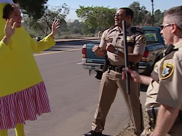 RENO 911! - Accidental Marriage