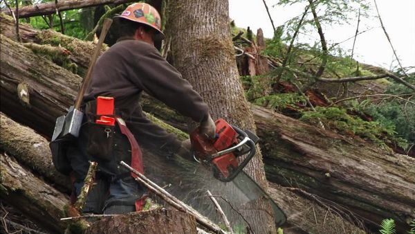 Ax Men - Lock And Load