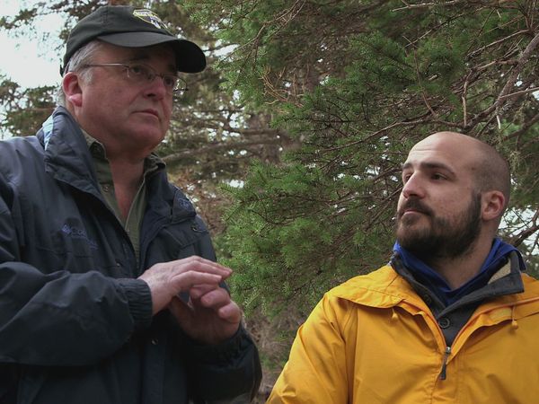 The Curse of Oak Island - The Hole Truth