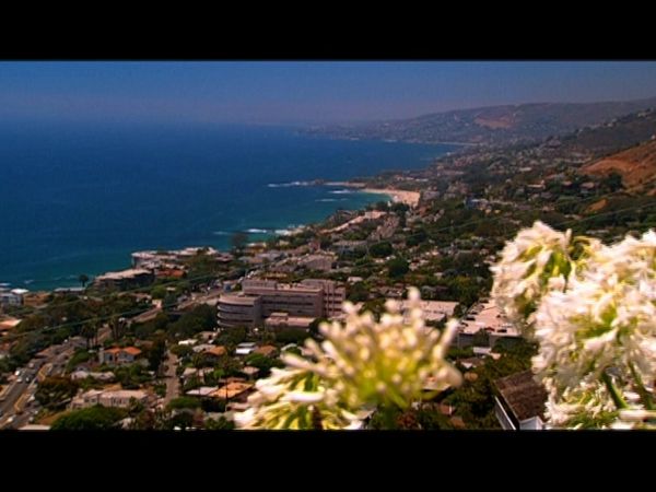 Laguna Beach - See You In A Decade