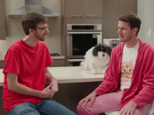 Tosh.0 - Tosh.0 October 6, 2020 - Cat Food Reviewer