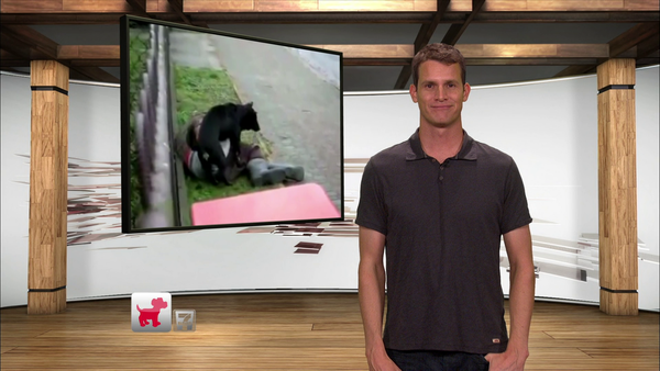 Tosh.0 - July 5, 2011 - Phillies Taser Kid