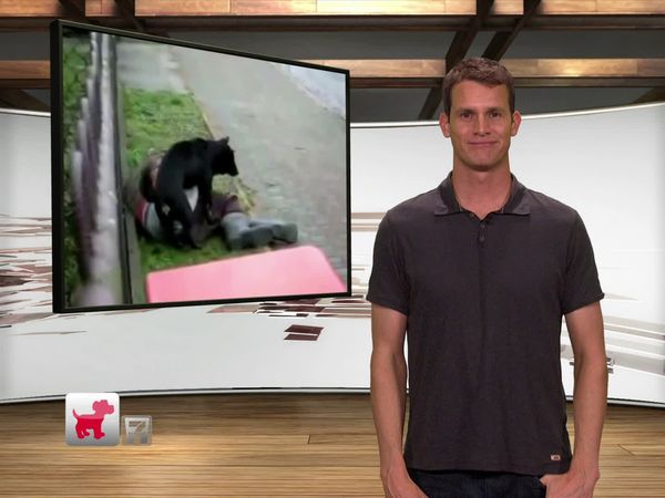 Tosh.0 - July 5, 2011 - Phillies Taser Kid