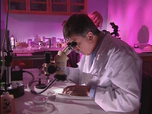 Medical Detectives - Paintball