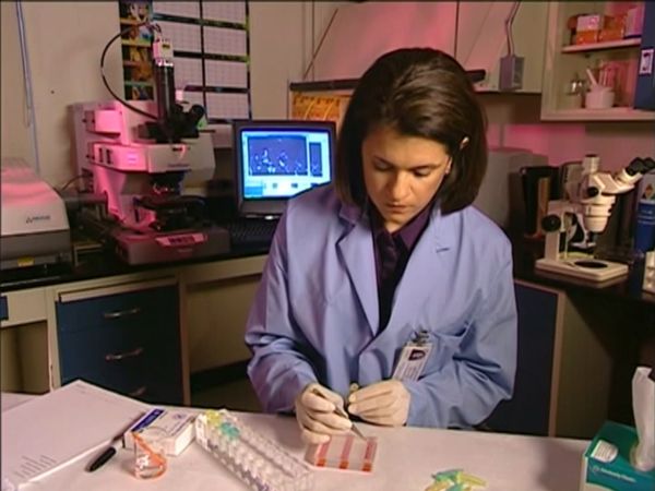 Medical Detectives - Weakest Link