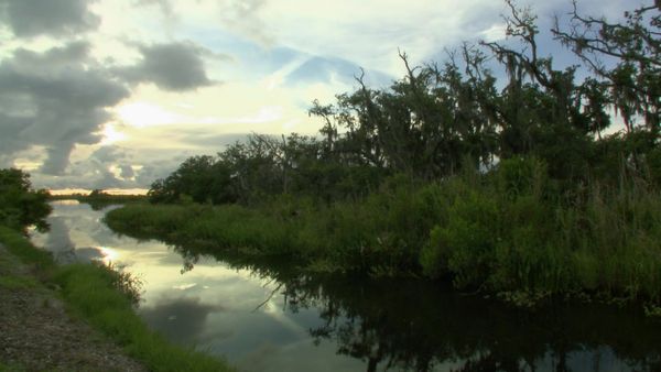 Buying the Bayou - Beach vs Bayou
