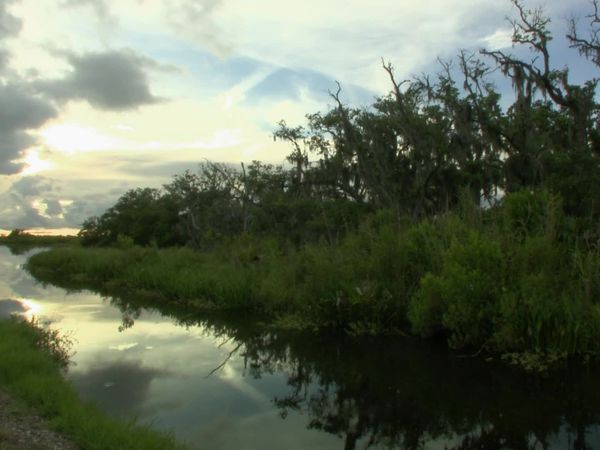 Buying the Bayou - Beach vs Bayou