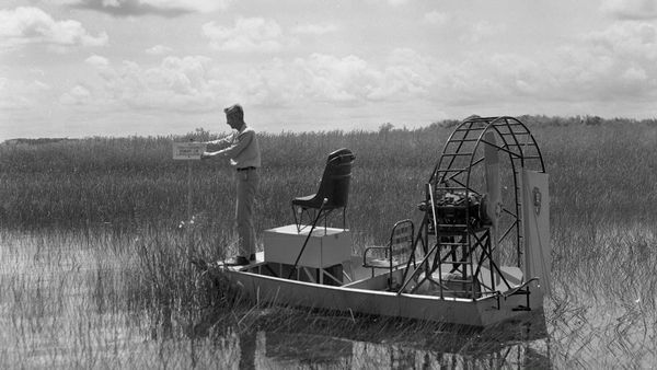 Buying the Bayou - Airboat Action