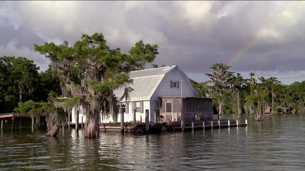 Buying the Bayou - Bayou Millionaires