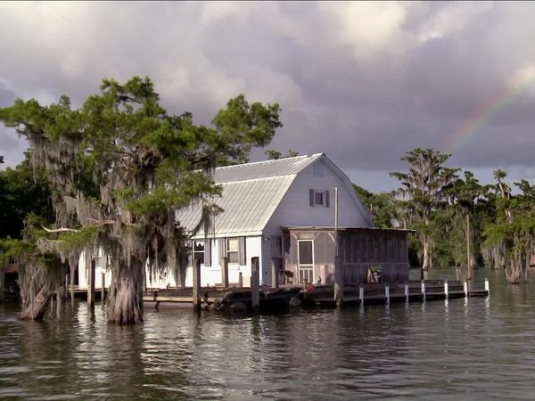 Buying the Bayou - Bayou Millionaires