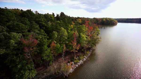 Lakefront Bargain Hunt - Escape to Kerr Lake