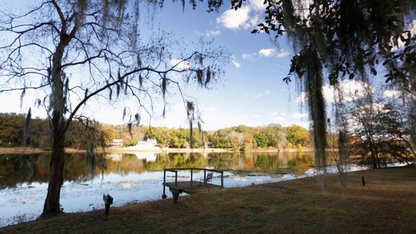 Lakefront Bargain Hunt - Ducking High Prices in Tallahassee