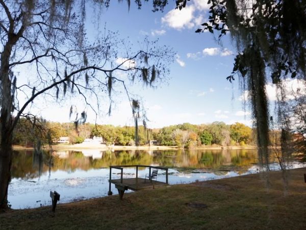 Lakefront Bargain Hunt - Ducking High Prices in Tallahassee