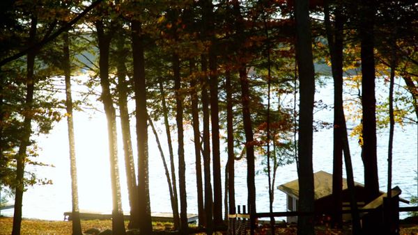 Lakefront Bargain Hunt - Here We Go Lake Sebago