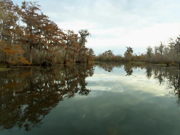 Buying the Bayou - Waterfront Getaway
